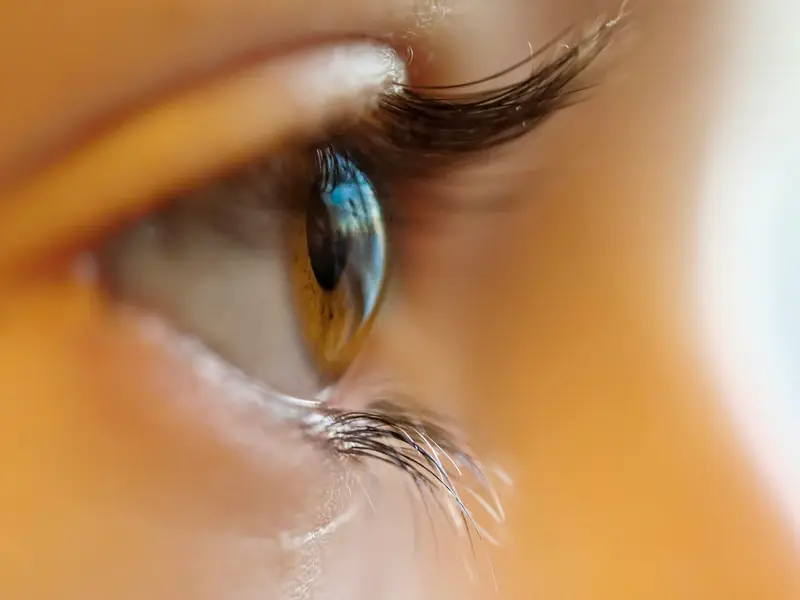 Œil de profil, avec le reflet de la lumière sur la cornée